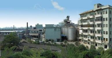 桂林力源集團(tuán)董事長陳身陸還是丁身援？桂林力源糧油食品集團(tuán)領(lǐng)導(dǎo)班子