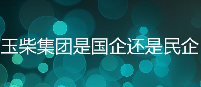 玉柴集團是國企嗎？玉柴集團是五百強嗎？